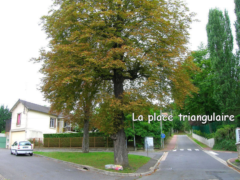 23 la place triangulaire des marronniers et la ferme de M. Lignereux